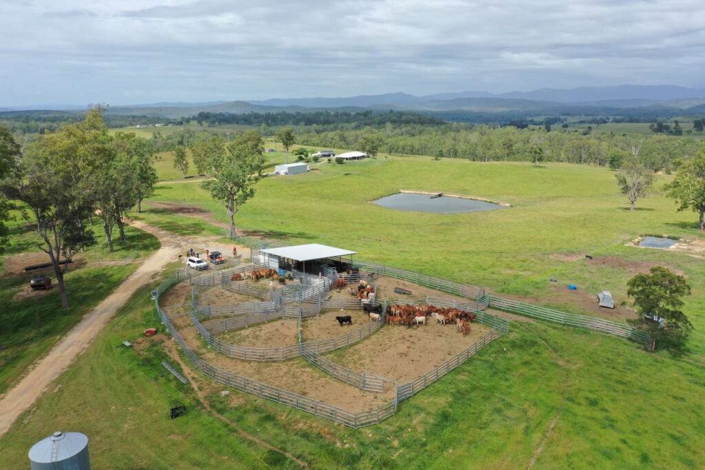 Bizzy in the hands of the next generation